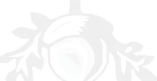 Hadley Wood Primary School building in Barnet