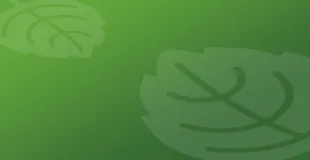 Hazelwood Infant School building in London