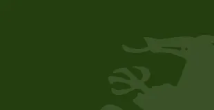 Enfield County School for Girls building in Enfield