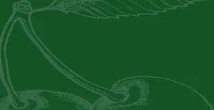 Cherry Orchard Primary School building in Birmingham