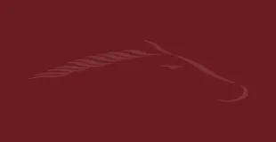 Hodge Hill Girls' School building in Birmingham