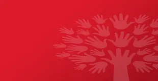 Temple Meadow Primary School building in Cradley Heath