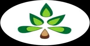 Wood End Primary School building in Wolverhampton