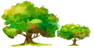 Green Park Primary School building in Liverpool