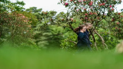 St Neot's School building in Hook