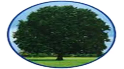 Shustoke CofE Primary School building in Birmingham