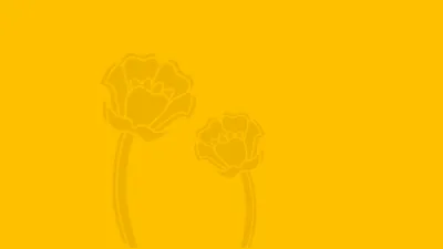 The Meadow Community Primary School building in Wigston