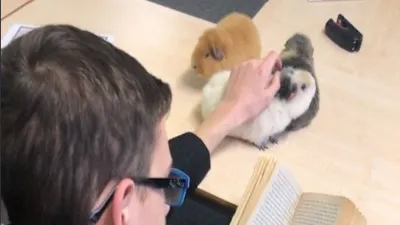 St Wilfrid's Academy, Doncaster building in Doncaster