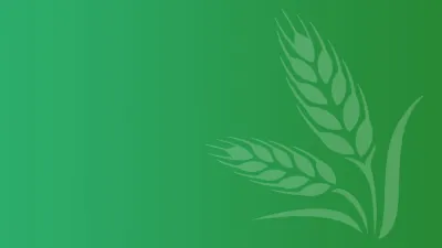 Occold Primary School building in Eye