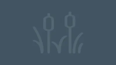 River Academy building in Reading