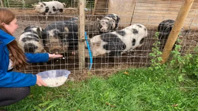 Elysian, West Horsley building in Leatherhead